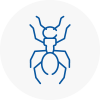 Ant Removals In Newport