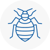 Bed Bug Extermination In Newport
