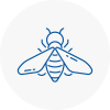 Bee Nest Removal Newport