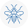 Newport Hornet Nest Removals