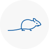 Mice Exterminators In Newport
