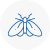 Moth Control Specialists In Newport
