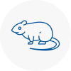 Rat Control Newport